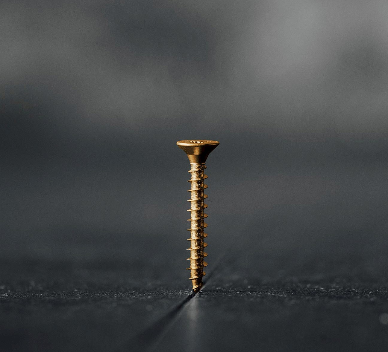Screw photo